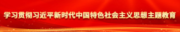 美女日板子一区免费学习贯彻习近平新时代中国特色社会主义思想主题教育